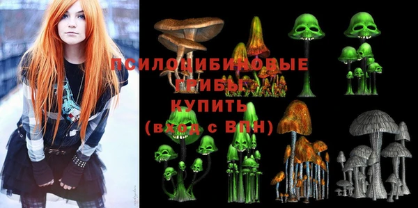 не бодяженный Арсеньев