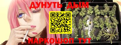 гидра Ачхой-Мартан