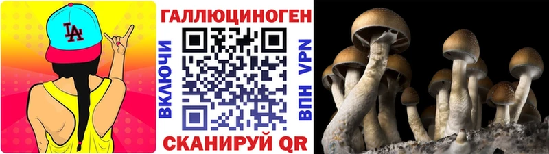 Псилоцибиновые грибы мицелий  Саки 