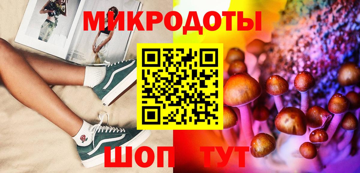 Саки  Псилоцибиновые грибы Psilocybine cubensis  Вход с VPN 